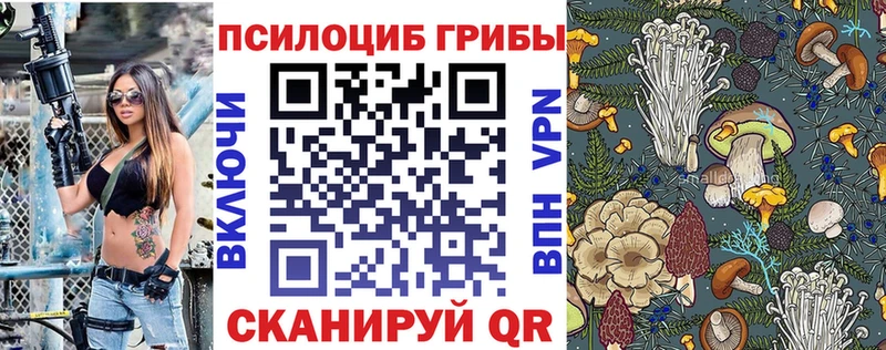 Галлюциногенные грибы Magic Shrooms  магазин продажи наркотиков  Зуевка 